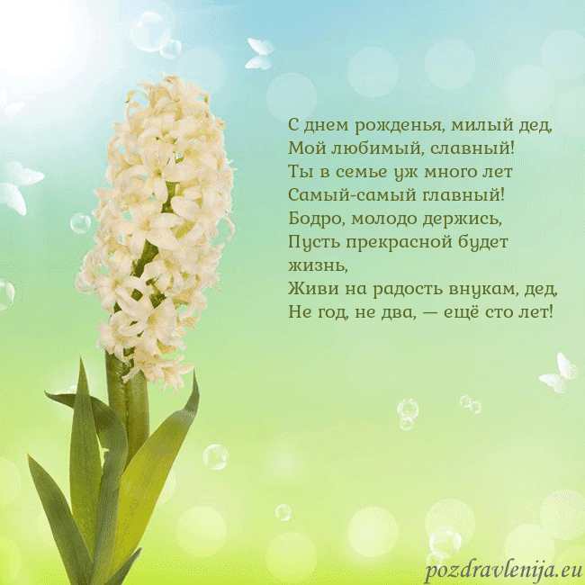 Открытка с гиацинтом