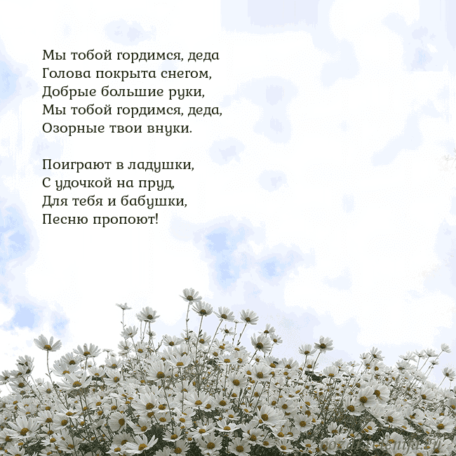 Открытка с ромашками