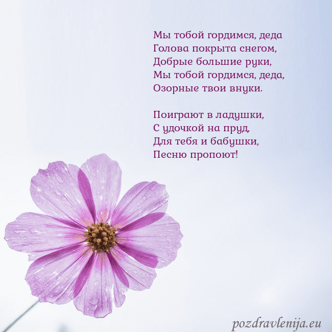 Электронная открытка с фиолетовым цветком