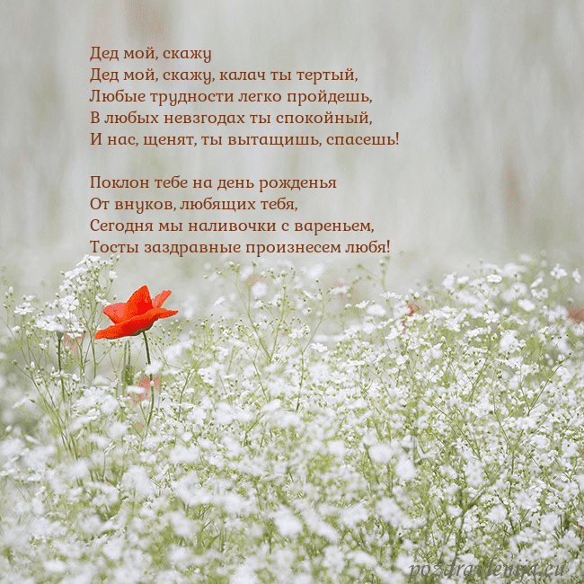 Электронная открытка с белыми цветами