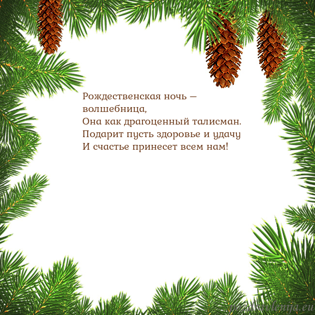 Новогодняя открытка с еловыми шишками