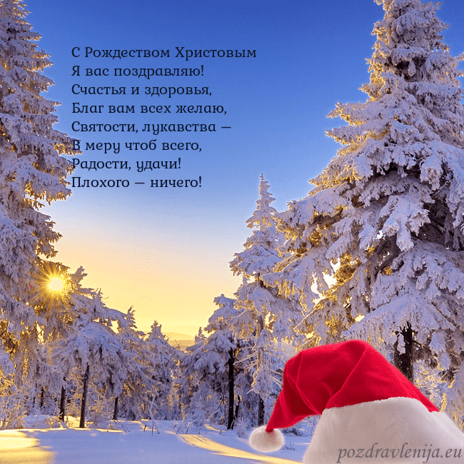 Новогодняя открытка со снежным лесом С Рождеством Христовым
Я вас поздравляю!
Счастья Новогодняя открытка со снежным лесом