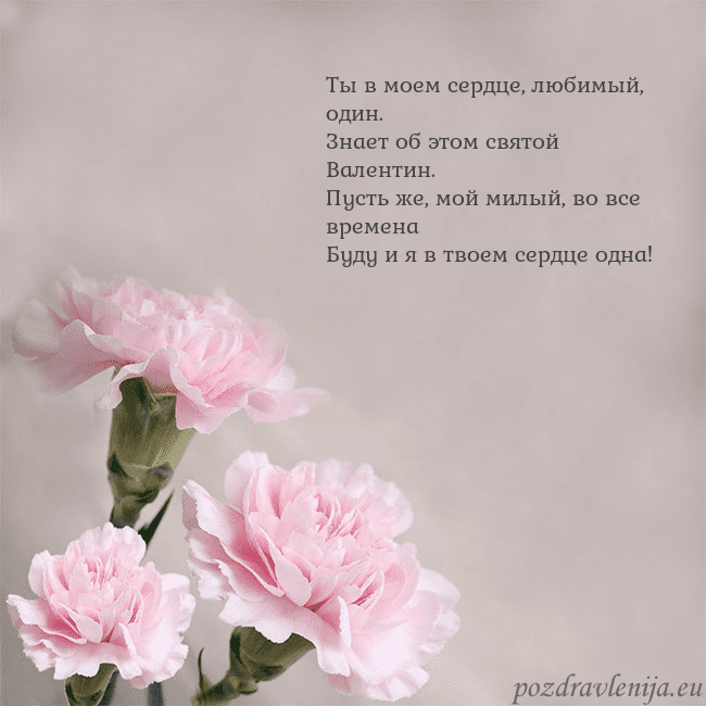 Открытка с розовыми гвоздиками Ты в моем сердце, любимый, один.
Знает об этом свя Открытка с розовыми гвоздиками