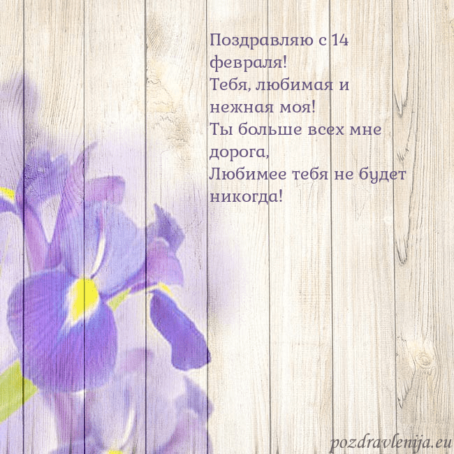 Открытка с ирисами Поздравляю с 14 февраля!
Тебя, любимая и нежная мо Открытка с ирисами