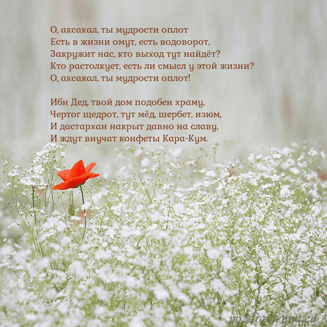 Электронная открытка с белыми цветами