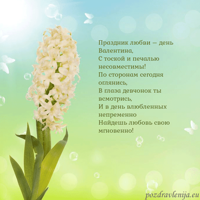 Открытка с гиацинтом Праздник любви – день Валентина,
С тоской и печаль Открытка с гиацинтом