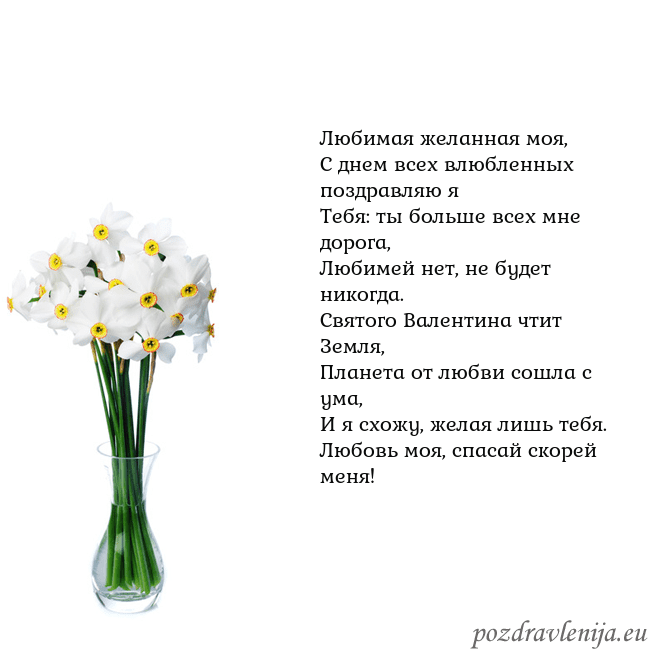 Открытка с нарциссами Любимая желанная моя,
С днем всех влюбленных поздр Открытка с нарциссами