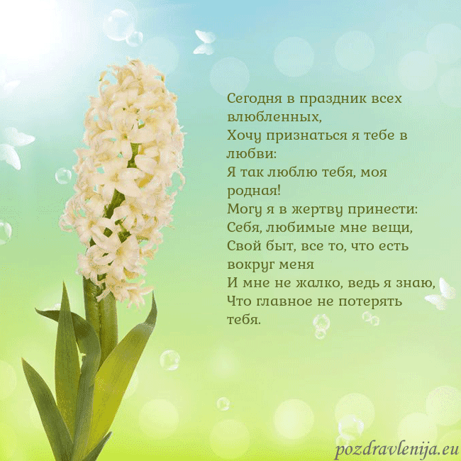 Открытка с гиацинтом Сегодня в праздник всех влюбленных,
Хочу признатьс Открытка с гиацинтом