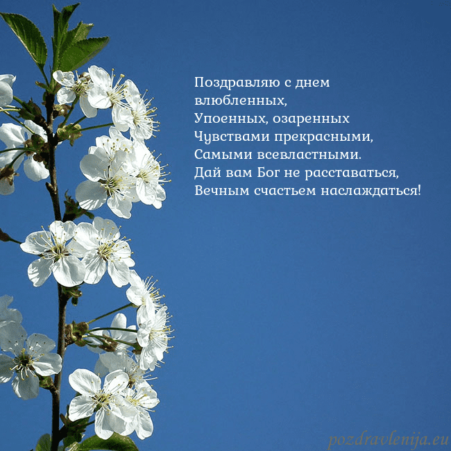 Открытка с весенними цветами Поздравляю с днем влюбленных,
Упоенных, озаренных
Открытка с весенними цветами