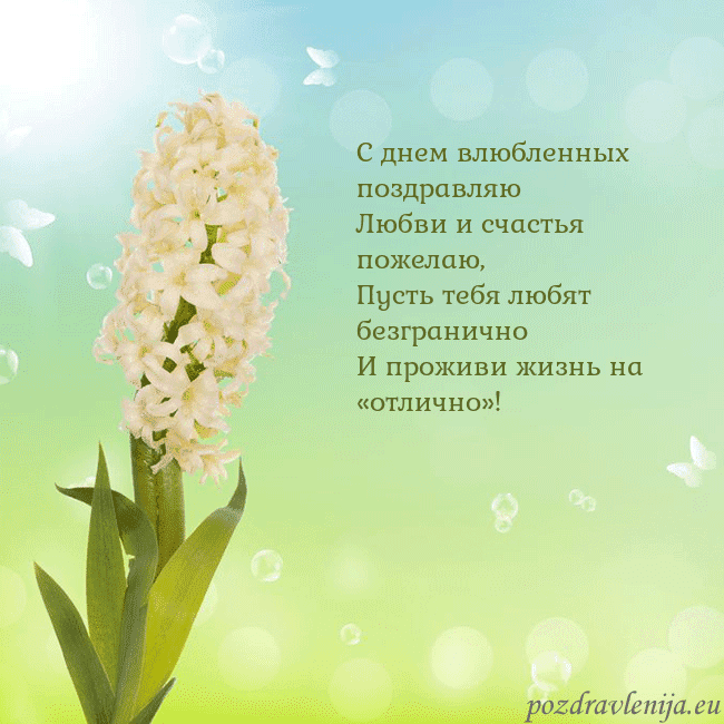 Открытка с гиацинтом С днем влюбленных поздравляю
Любви и счастья пожел Открытка с гиацинтом