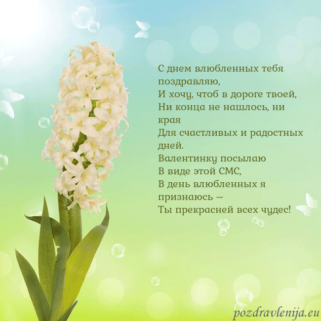 Открытка с гиацинтом С днем влюбленных тебя поздравляю,
И хочу, чтоб в Открытка с гиацинтом