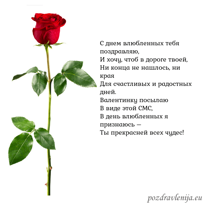 Открытка с красной розой С днем влюбленных тебя поздравляю,
И хочу, чтоб в Открытка с красной розой