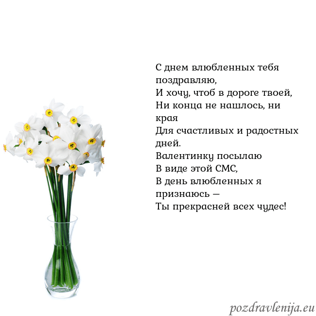 Открытка с нарциссами С днем влюбленных тебя поздравляю,
И хочу, чтоб в Открытка с нарциссами