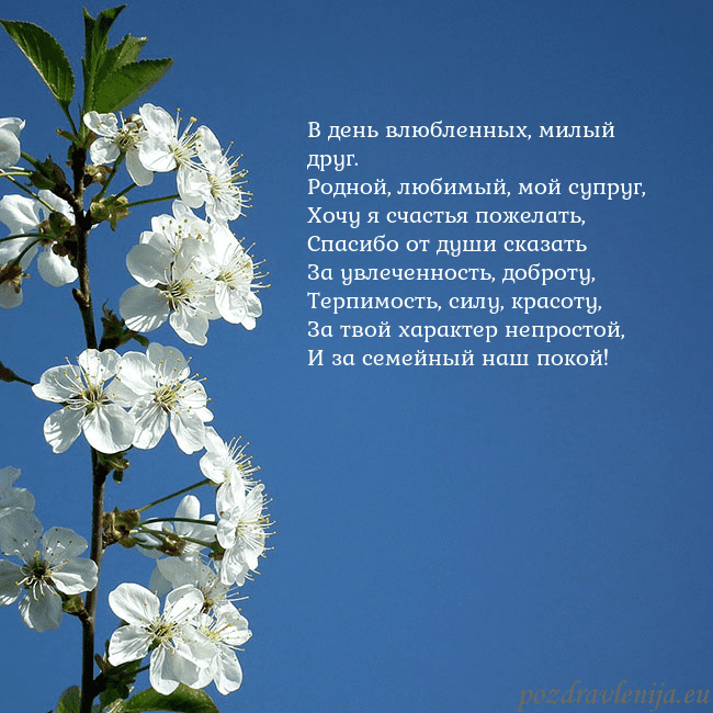Открытка с весенними цветами В день влюбленных, милый друг.
Родной, любимый, мо Открытка с весенними цветами
