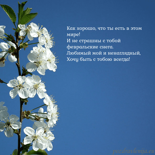 Открытка с весенними цветами Как хорошо, что ты есть в этом мире!
И не страшны Открытка с весенними цветами
