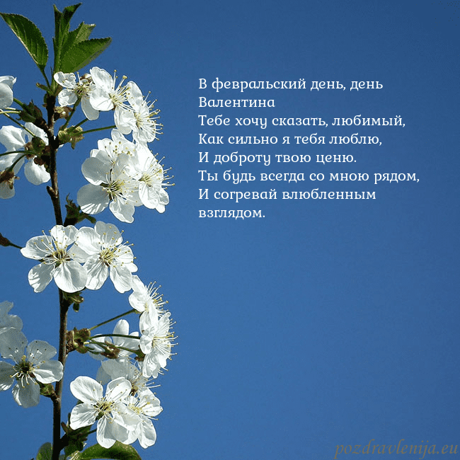 Открытка с весенними цветами В февральский день, день Валентина
Тебе хочу сказа Открытка с весенними цветами