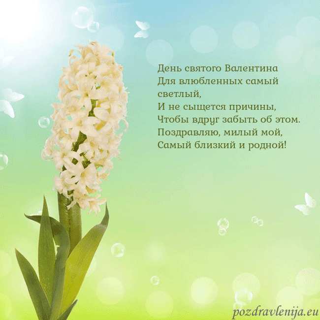 Открытка с гиацинтом День святого Валентина
Для влюбленных самый светлы Открытка с гиацинтом