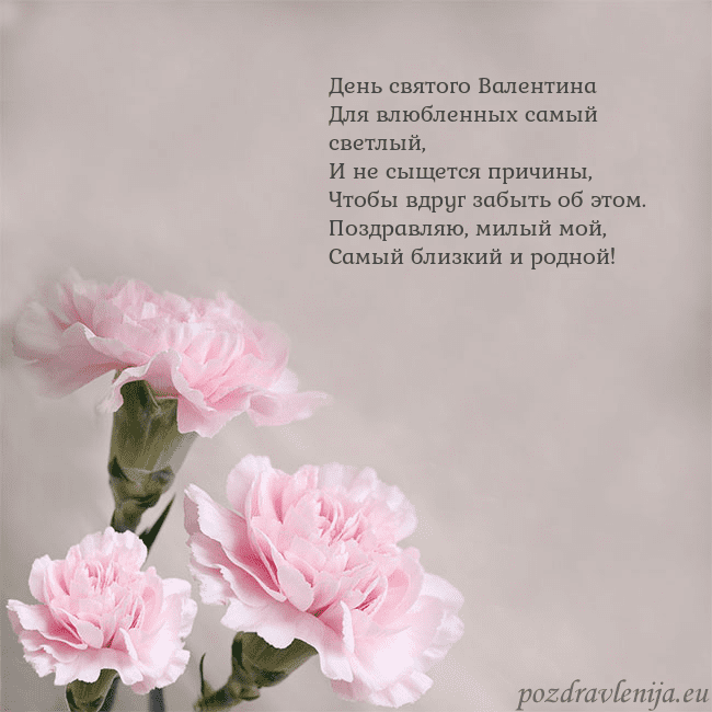 Открытка с розовыми гвоздиками День святого Валентина
Для влюбленных самый светлы Открытка с розовыми гвоздиками