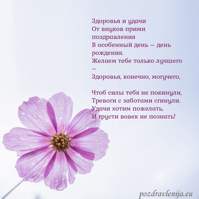 Электронная открытка с фиолетовым цветком