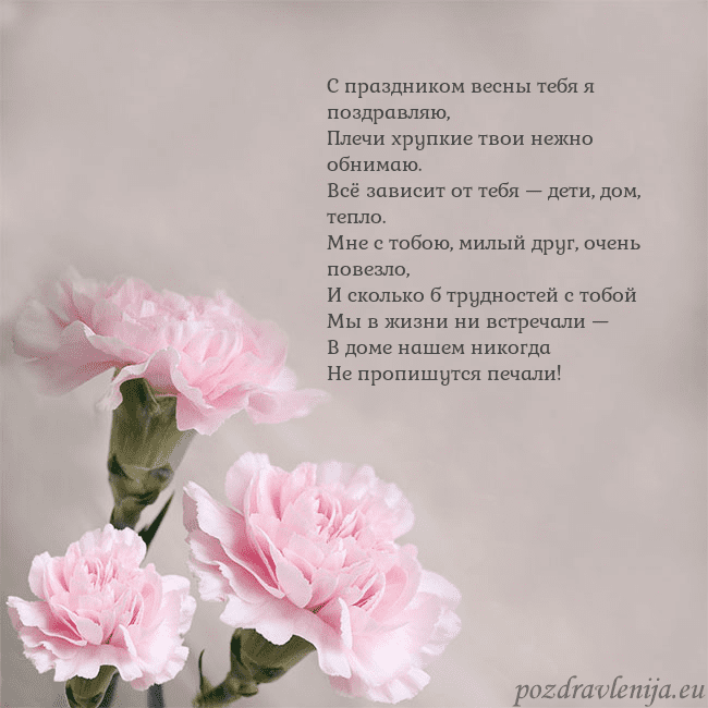 Открытка с розовыми гвоздиками С праздником весны тебя я поздравляю,
Плечи хрупки Открытка с розовыми гвоздиками