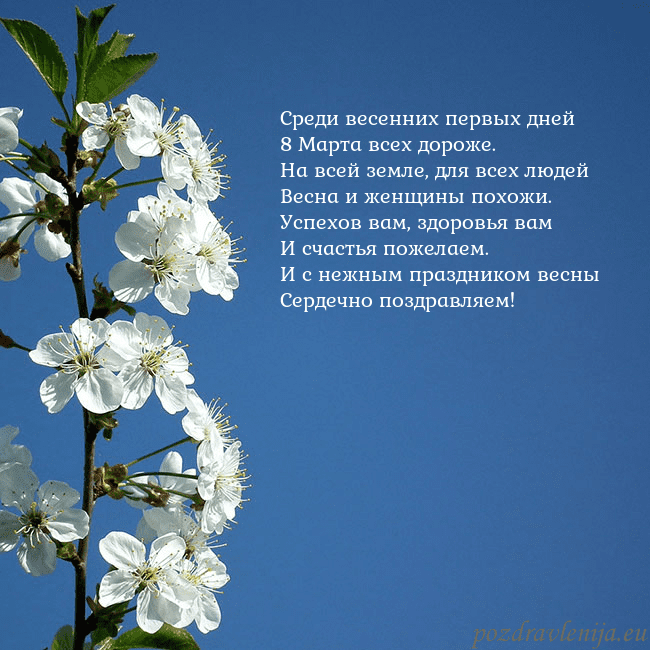 Открытка с весенними цветами Среди весенних первых дней
8 Марта всех дороже.
На Открытка с весенними цветами