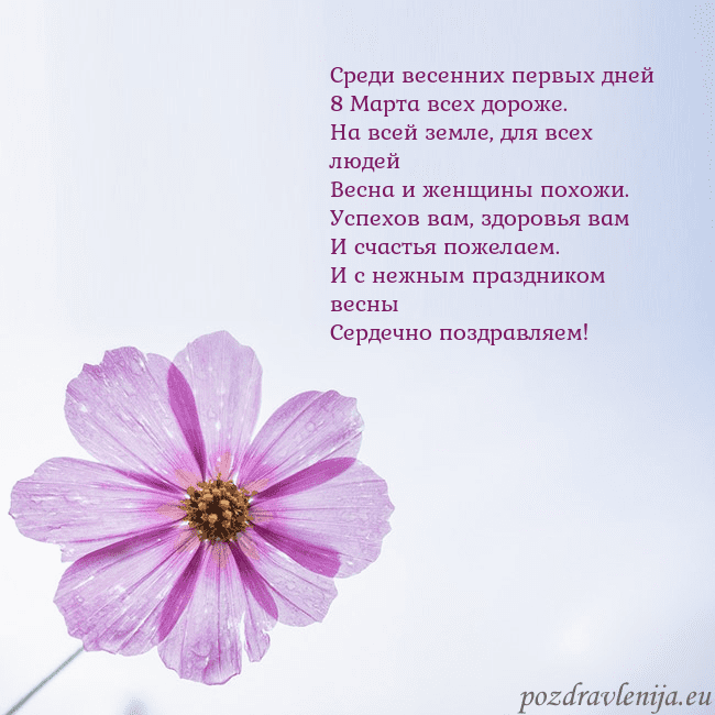 Электронная открытка с фиолетовым цветком Среди весенних первых дней
8 Марта всех дороже.
На Электронная открытка с фиолетовым цветком