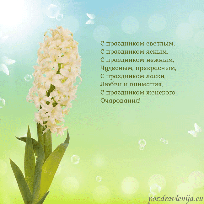 Открытка с гиацинтом С праздником светлым,
С праздником ясным,
С праздн Открытка с гиацинтом