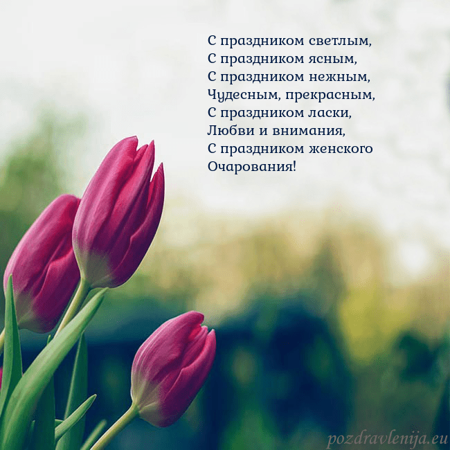 Открытка с тремя красными тюльпанами С праздником светлым,
С праздником ясным,
С праздн Открытка с тремя красными тюльпанами