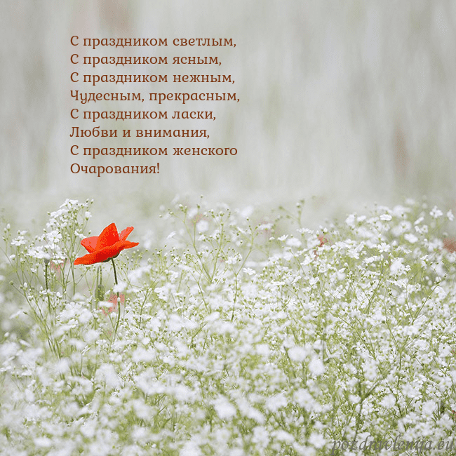 Электронная открытка с белыми цветами С праздником светлым,
С праздником ясным,
С праздн Электронная открытка с белыми цветами