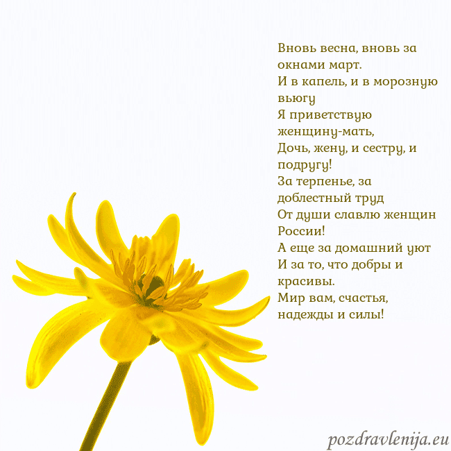 Открытка с желтым цветком Вновь весна, вновь за окнами март.
И в капель, и в Открытка с желтым цветком
