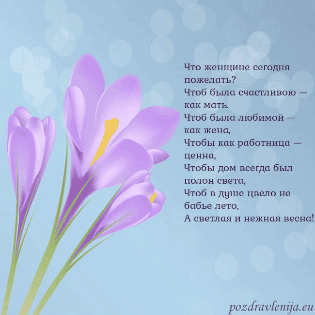 Открытка с крокусом