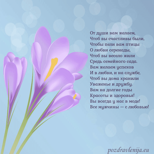 Открытка с крокусом