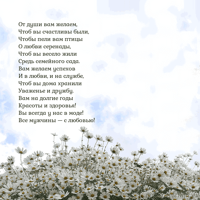 Открытка с ромашками