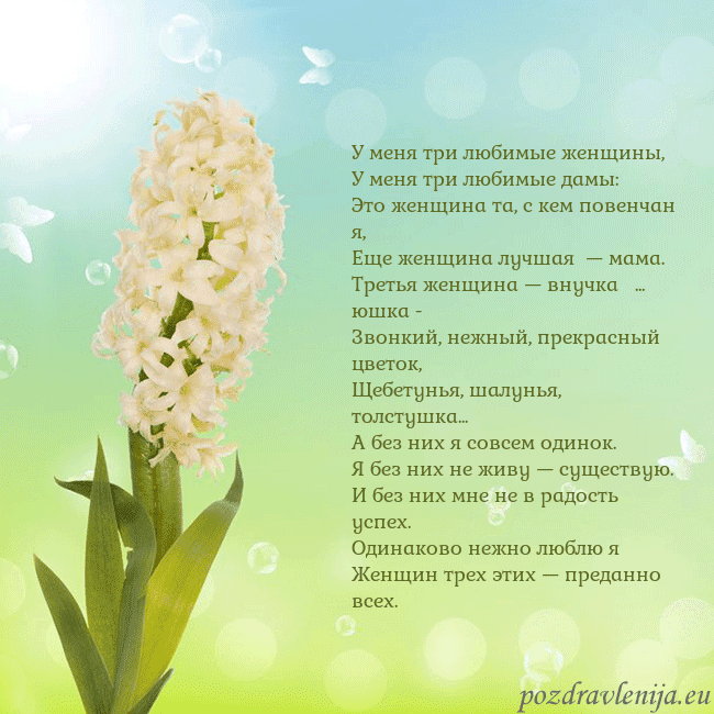 Открытка с гиацинтом У меня три любимые женщины,
У меня три любимые дам Открытка с гиацинтом