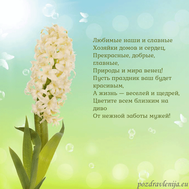 Открытка с гиацинтом