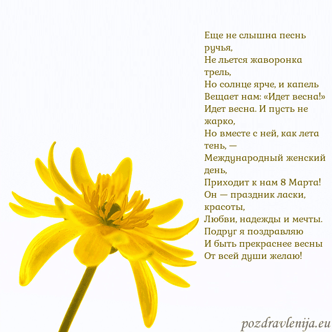 Открытка с желтым цветком Еще не слышна песнь ручья,
Не льется жаворонка тре Открытка с желтым цветком