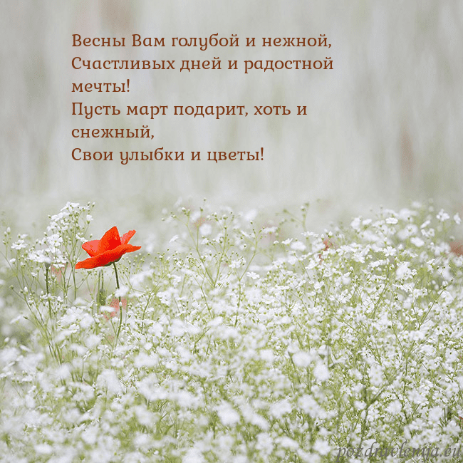 Электронная открытка с белыми цветами Весны Вам голубой и нежной,
Счастливых дней и радо Электронная открытка с белыми цветами