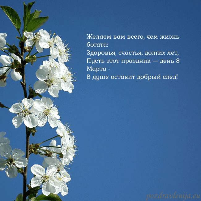 Открытка с весенними цветами Желаем вам всего, чем жизнь богата:
Здоровья, счас Открытка с весенними цветами