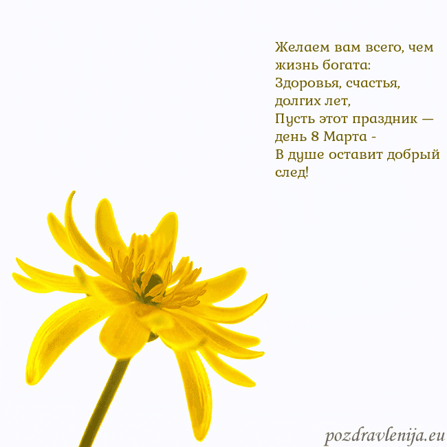 Открытка с желтым цветком Желаем вам всего, чем жизнь богата:
Здоровья, счас Открытка с желтым цветком