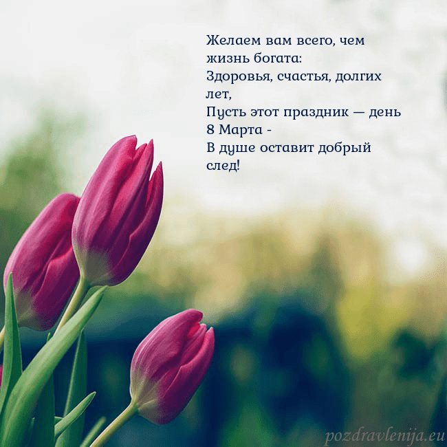 Открытка с тремя красными тюльпанами Желаем вам всего, чем жизнь богата:
Здоровья, счас Открытка с тремя красными тюльпанами