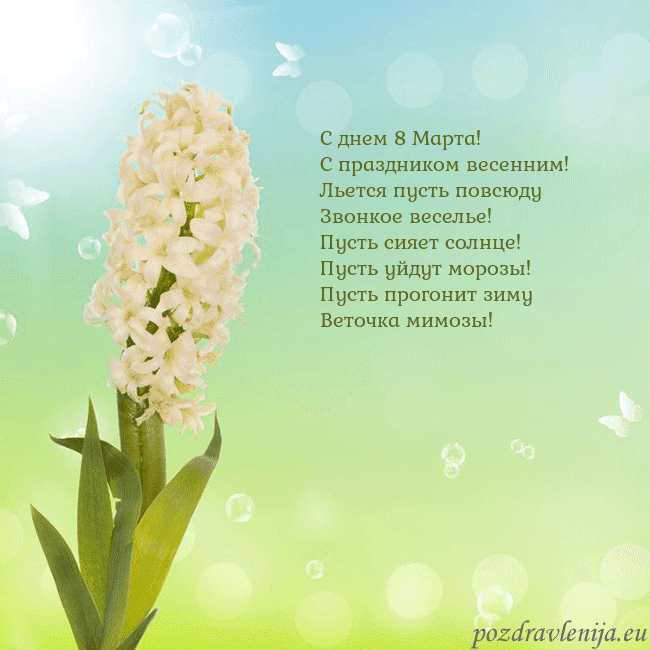 Открытка с гиацинтом С днем 8 Марта!
С праздником весенним!
Льется пуст Открытка с гиацинтом