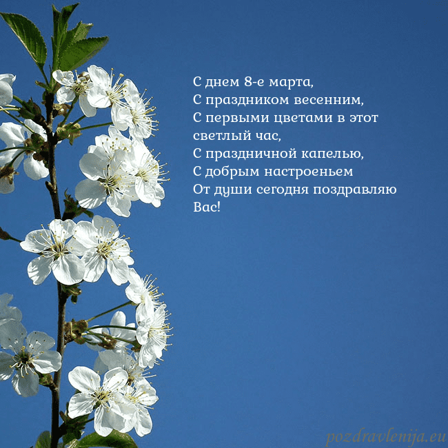 Открытка с весенними цветами С днем 8-е марта,
С праздником весенним,
С первыми Открытка с весенними цветами