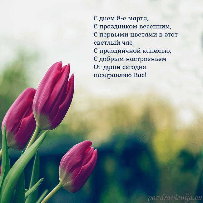 Открытка с тремя красными тюльпанами С днем 8-е марта,
С праздником весенним,
С первыми Открытка с тремя красными тюльпанами