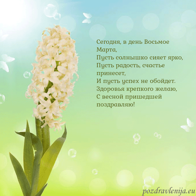 Открытка с гиацинтом Сегодня, в день Восьмое Марта,
Пусть солнышко сияе Открытка с гиацинтом