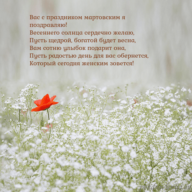 Электронная открытка с белыми цветами Вас с праздником мартовским я поздравляю!
Весеннег Электронная открытка с белыми цветами