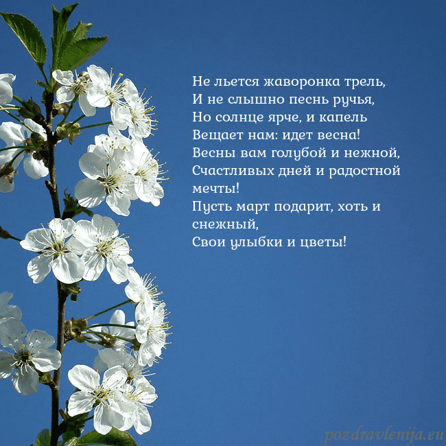 Открытка с весенними цветами Не льется жаворонка трель,
И не слышно песнь ручья Открытка с весенними цветами