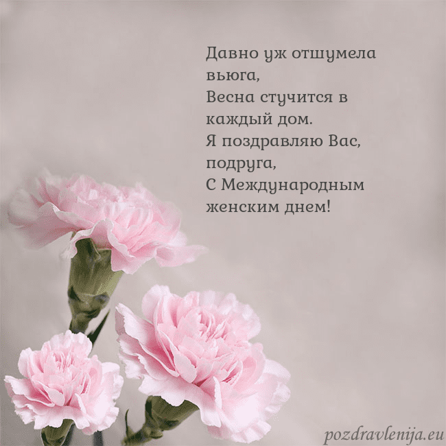 Открытка с розовыми гвоздиками Давно уж отшумела вьюга,
Весна стучится в каждый д Открытка с розовыми гвоздиками