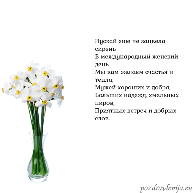 Открытка с нарциссами Пускай еще не зацвела сирень
В международный женск Открытка с нарциссами