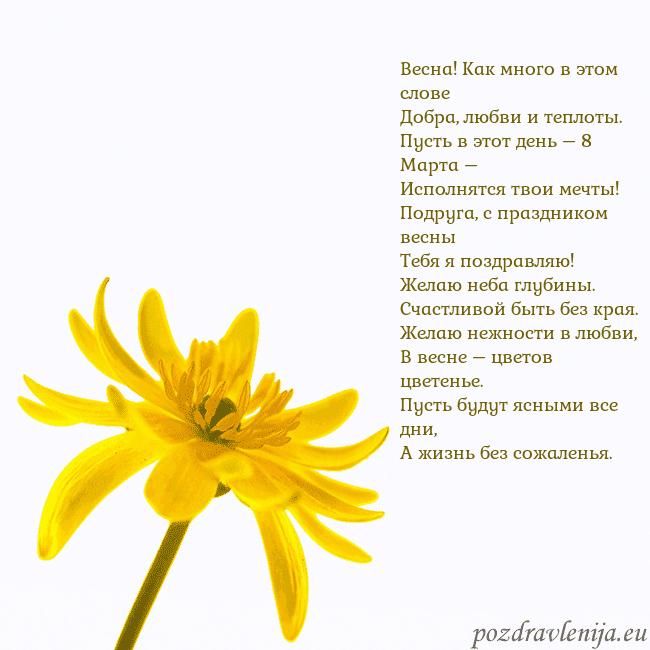 Открытка с желтым цветком Весна! Как много в этом слове
Добра, любви и тепло Открытка с желтым цветком