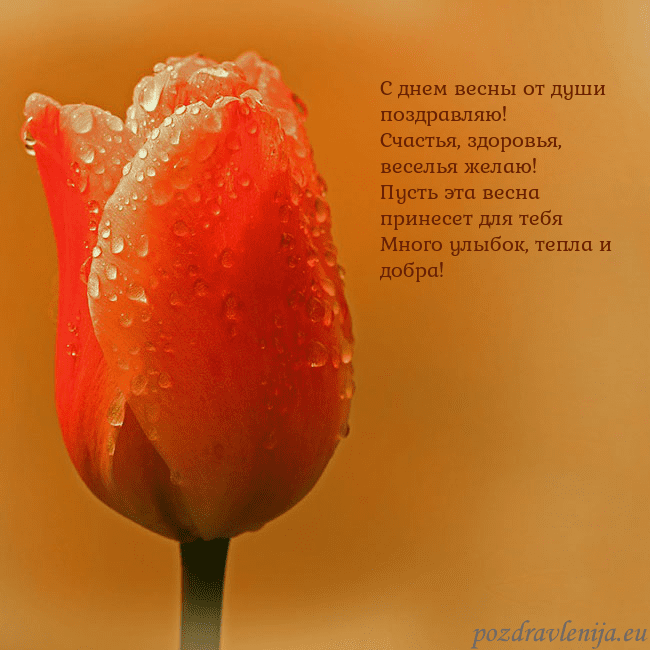 Открытка с красным тюльпаном С днем весны от души поздравляю!
Счастья, здоровья Открытка с красным тюльпаном